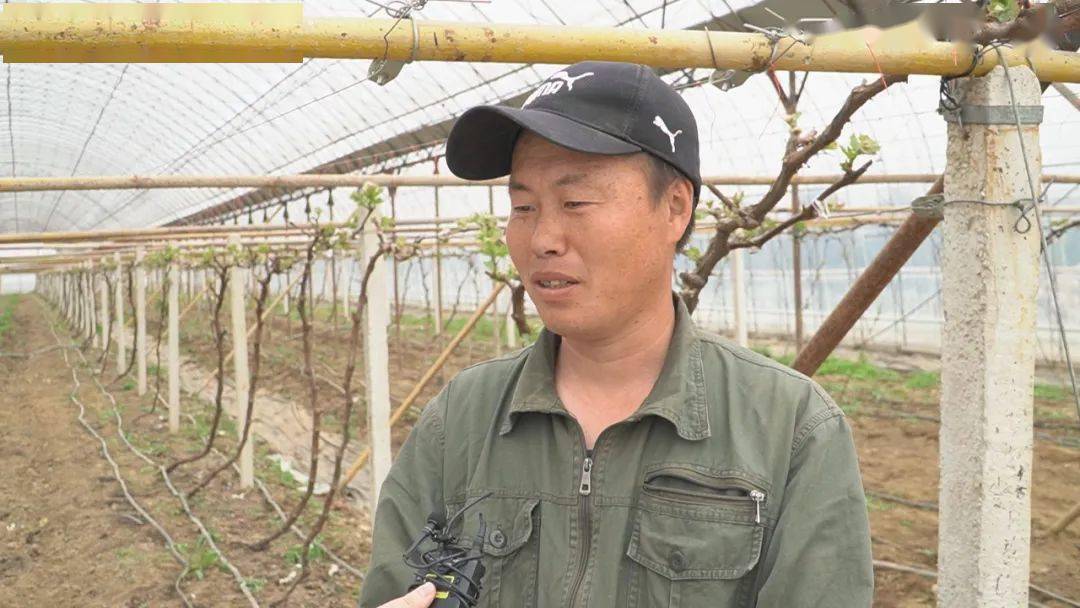 LD乐动体育“智慧农业”让种植更智能(图11) LD乐动体育“智慧农业”让种植更智能(图11)