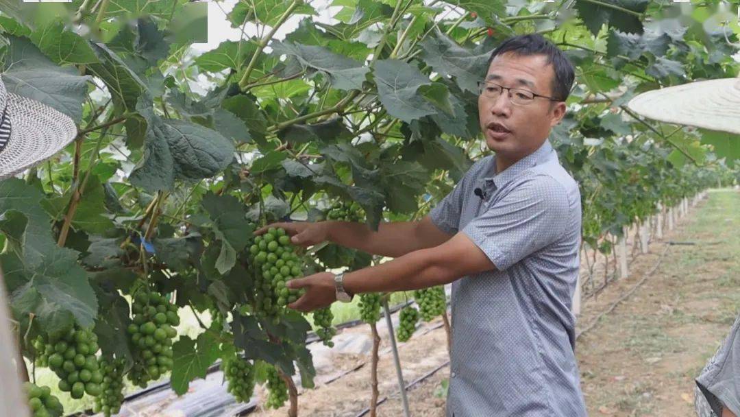 LD乐动体育“智慧农业”让种植更智能(图10) LD乐动体育“智慧农业”让种植更智能(图10)