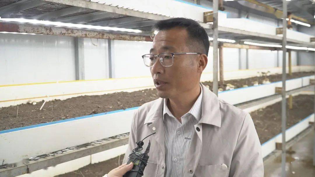 LD乐动体育“智慧农业”让种植更智能(图8) LD乐动体育“智慧农业”让种植更智能(图8)