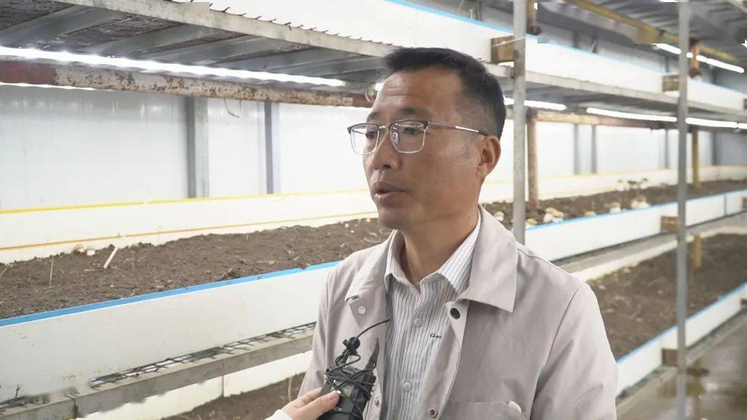 LD乐动体育“智慧农业”让种植更智能(图14) LD乐动体育“智慧农业”让种植更智能(图14)