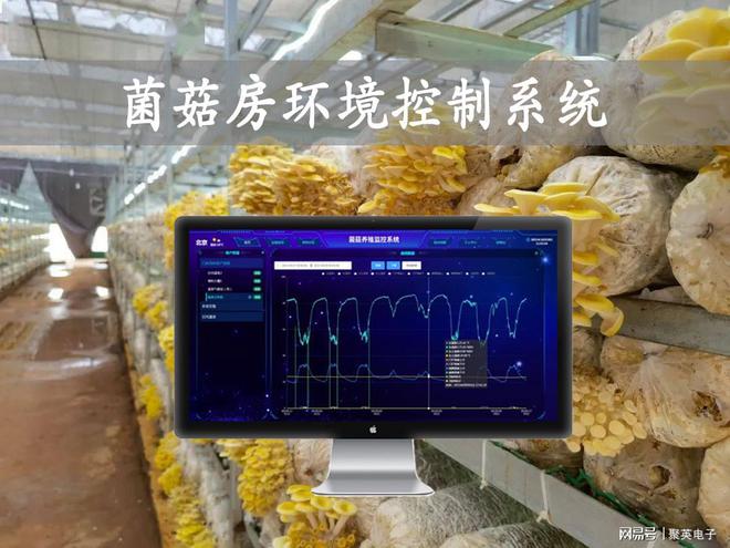 乐动体育基于物联网的菌菇房环境控制系统智能控温控湿