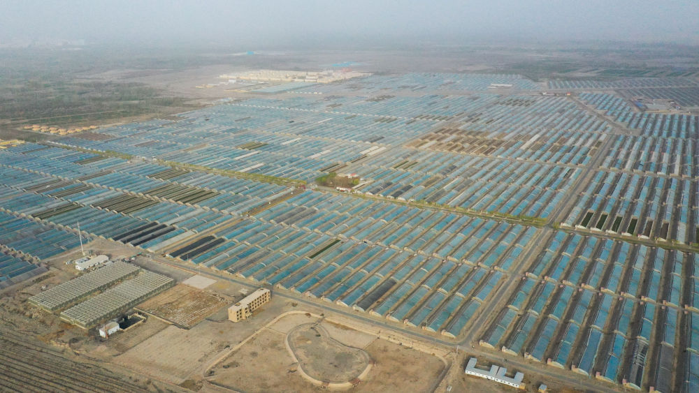 LD乐动体育昔日戈壁荒滩 今朝果蔬飘香——新疆设施农业高质量