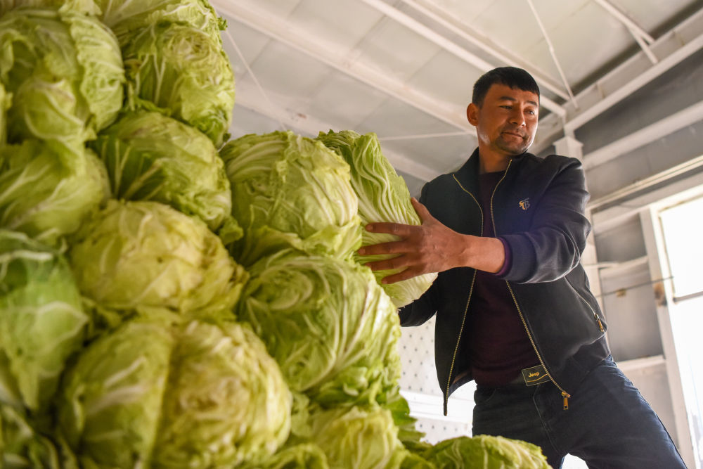 LD乐动体育昔日戈壁荒滩 今朝果蔬飘香——新疆设施农业高质量发展见闻(图3) LD乐动体育昔日戈壁荒滩 今朝果蔬飘香——新疆设施农业高质量发展见闻(图3)
