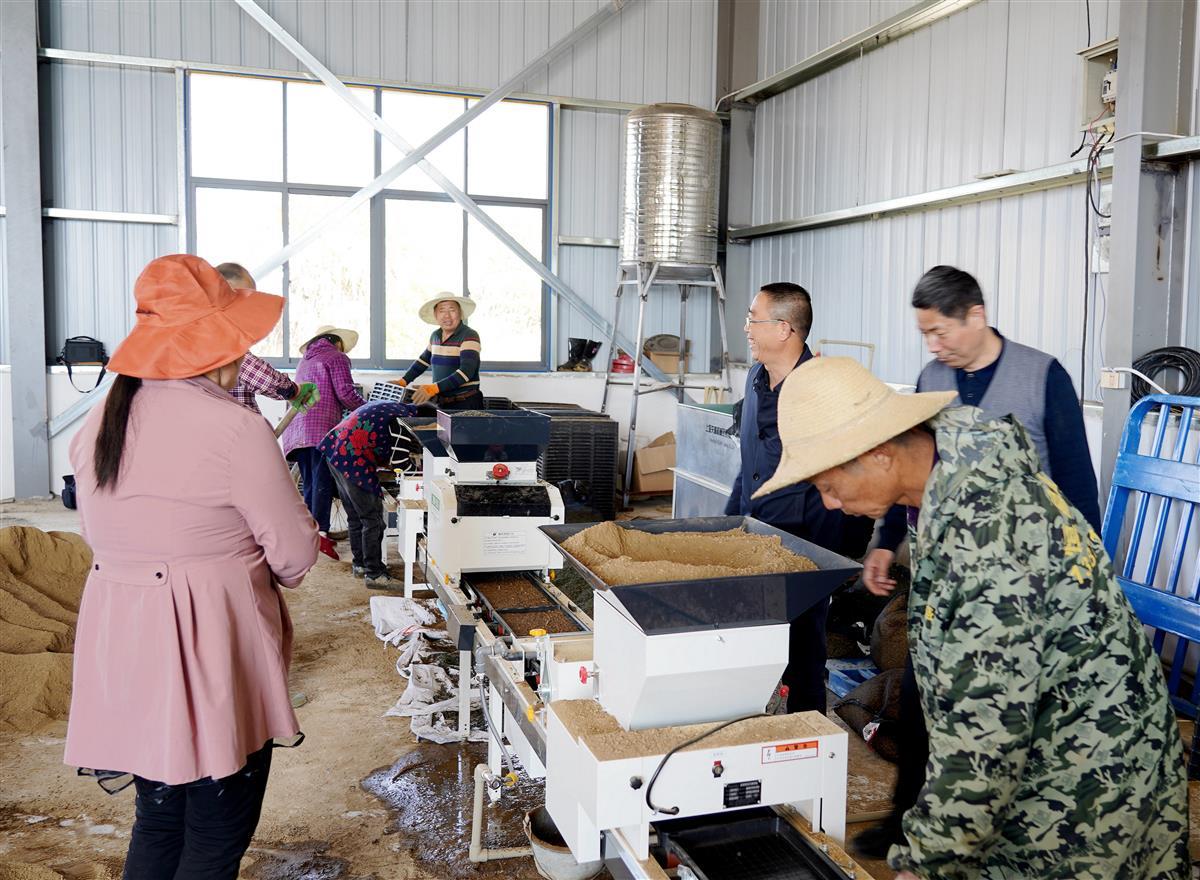 乐动体育 LD体育工厂化育秧为水稻种植按下“加速键”(图2) 乐动体育 LD体育工厂化育秧为水稻种植按下“加速键”(图2)