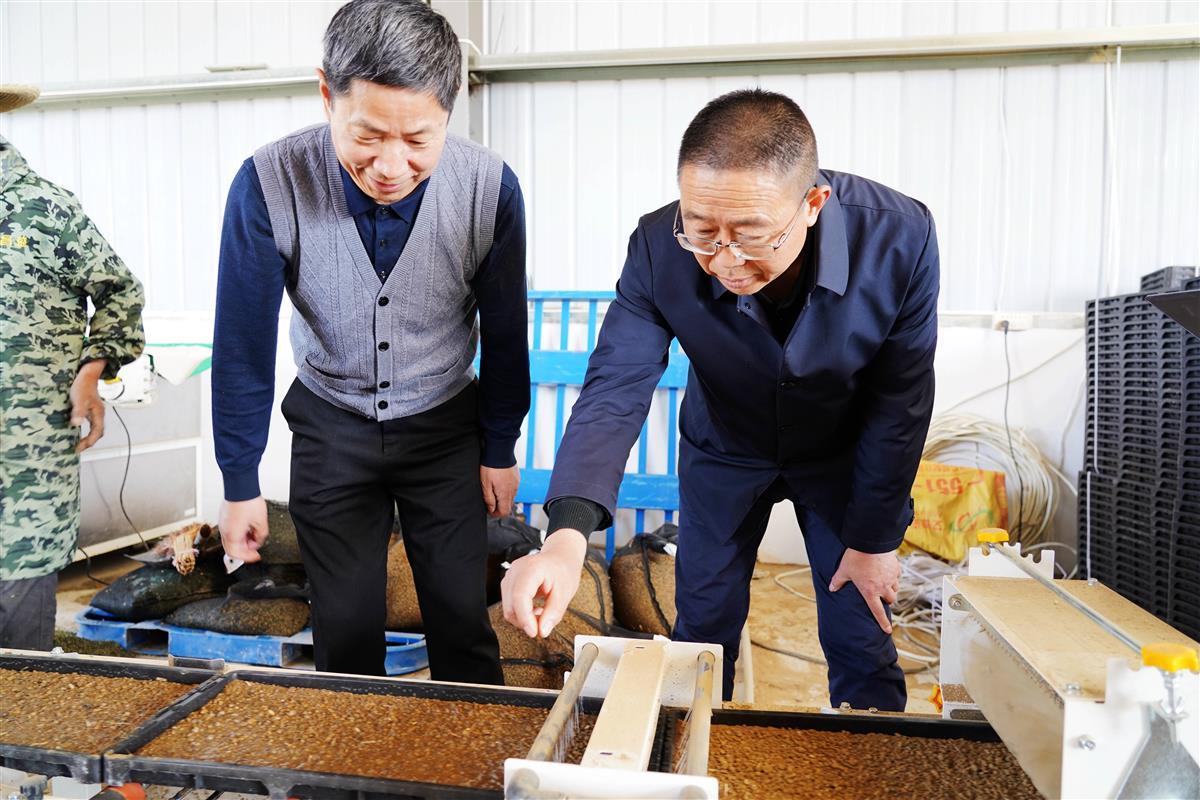 乐动体育 LD体育工厂化育秧为水稻种植按下“加速键”