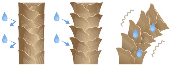 LD乐动体育不想伤发又想头发干得快强烈建议你试试它!(图2) LD乐动体育不想伤发又想头发干得快强烈建议你试试它!(图2)