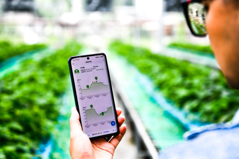 “数实融合”开启未来——数字化助力贵州实体经济高质量发展观察乐动体育(图3) “数实融合”开启未来——数字化助力贵州实体经济高质量发展观察乐动体育(图3)