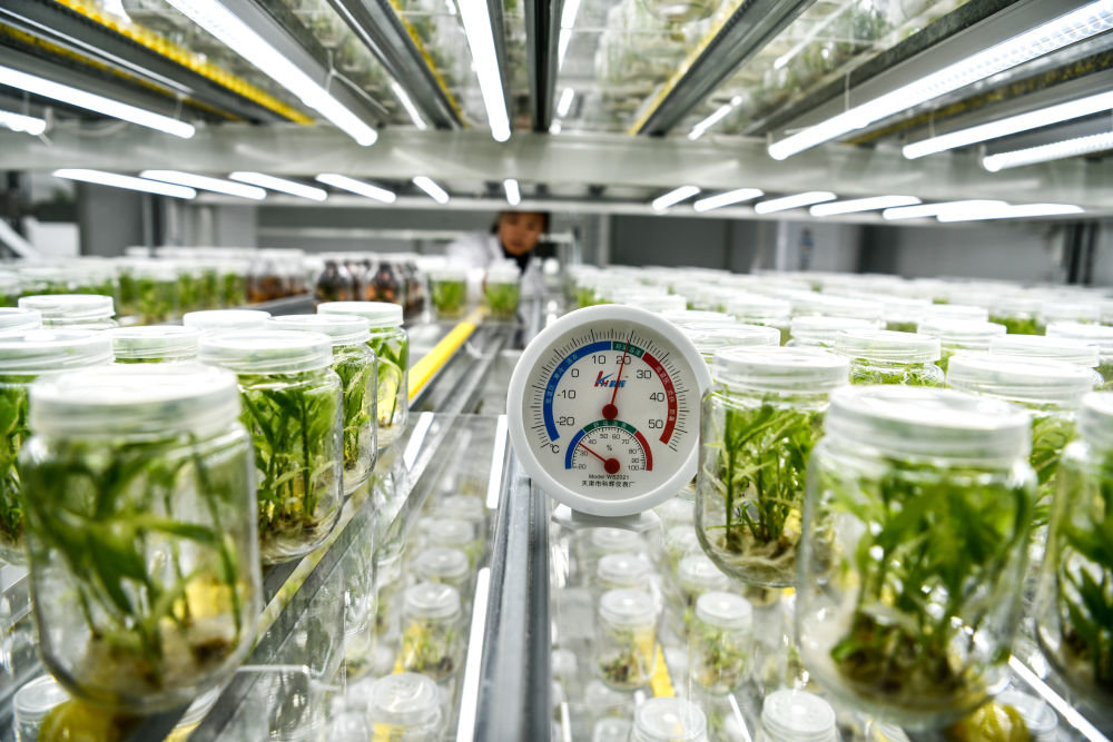 “数实融合”开启未来——数字化助力贵州实体经济高质量发展观察乐动体育(图4) “数实融合”开启未来——数字化助力贵州实体经济高质量发展观察乐动体育(图4)