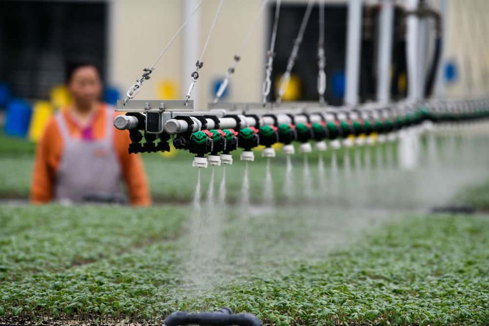 “数实融合”开启未来——数字化助力贵州实体经济高质量发展观察乐动体育(图2) “数实融合”开启未来——数字化助力贵州实体经济高质量发展观察乐动体育(图2)