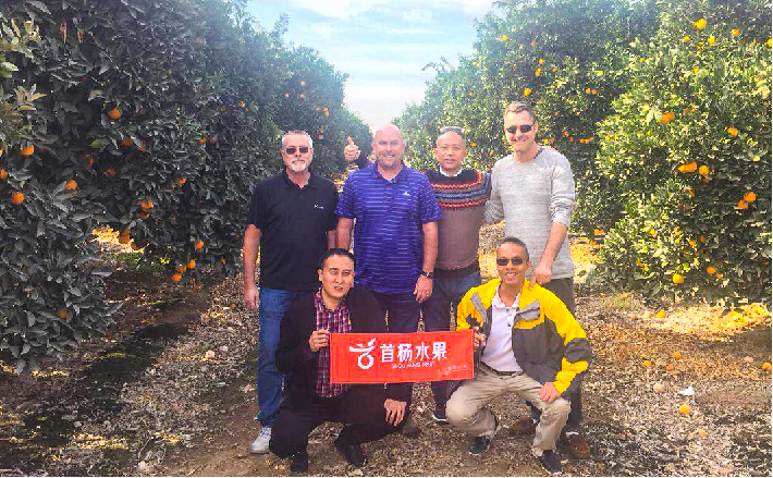 好水果在首杨备受关注的连锁品牌--首杨LD乐动体育水果