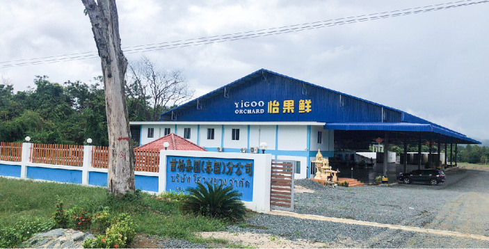 好水果在首杨备受关注的连锁品牌--首杨LD乐动体育水果(图3)