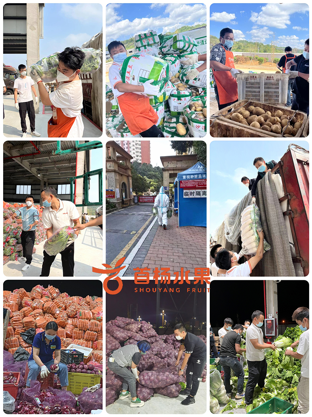 好水果在首杨备受关注的连锁品牌--首杨LD乐动体育水果(图7)