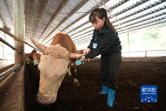 乐动体育 LD体育数字赋“农”：贵州农民用大数据务农(图2)