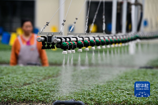 乐动体育 LD体育新华全媒头条丨“数实融合” 开启未来——数字化助力贵州实体经济高质量发展观察(图3) 乐动体育 LD体育新华全媒头条丨“数实融合” 开启未来——数字化助力贵州实体经济高质量发展观察(图3)