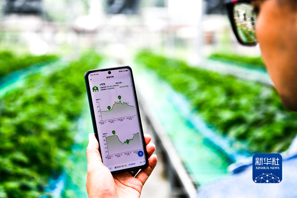 乐动体育 LD体育新华全媒头条丨“数实融合” 开启未来——数字化助力贵州实体经济高质量发展观察(图4) 乐动体育 LD体育新华全媒头条丨“数实融合” 开启未来——数字化助力贵州实体经济高质量发展观察(图4)