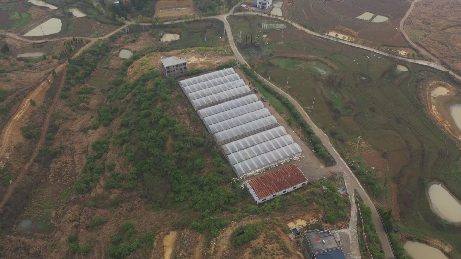 乐动体育桂阳县：烟叶大棚育早稻 节本增效助春耕