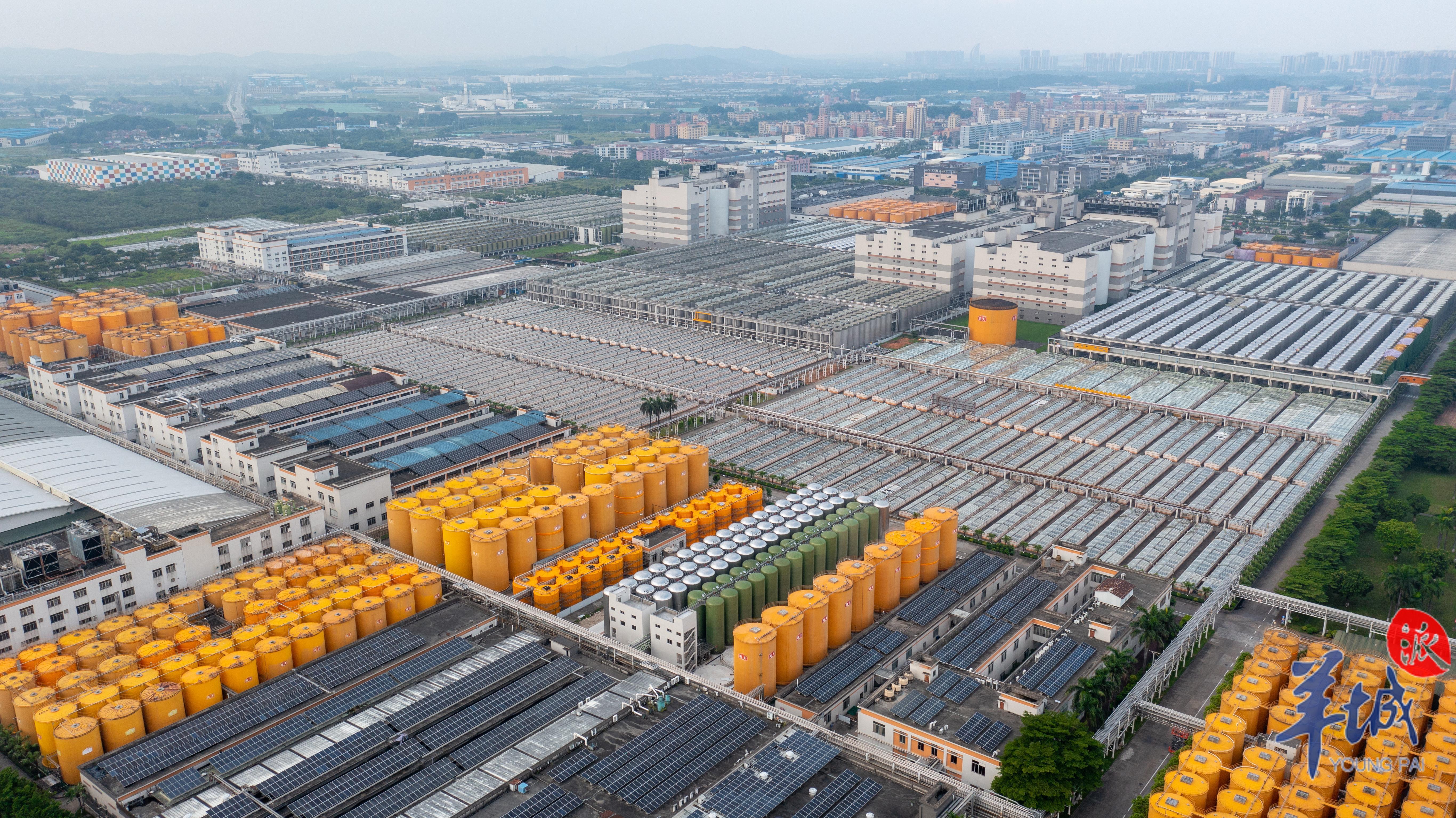 老字号数智化“焕新”！看一颗LD乐动体育黄豆的“高质量转化”