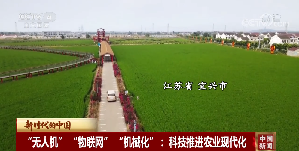 LD乐动体育红印杨巷 高新农业丨央视《新时代的中国》聚焦宜兴