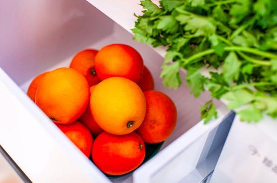 聚焦厨居新美学 TCL新品超薄零嵌冰箱T9重磅上市乐动体育(图4)