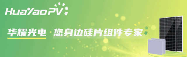 乐动体育重磅盘点SNEC光伏展商新品炸场上海滩(图19)