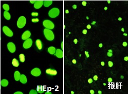 川仪自动化什么是川仪自动化？的最新报道乐动体育(图5)