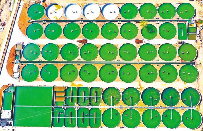 乐动体育襄阳设施农业步入发展快车道 鸡鸭“上楼” 鲟鱼“上岸”(图2) 乐动体育襄阳设施农业步入发展快车道 鸡鸭“上楼” 鲟鱼“上岸”(图2)