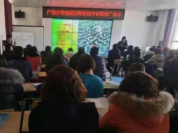 乐动体育 LD体育【农牧•旗县】九原区、东河区农牧业工作动态