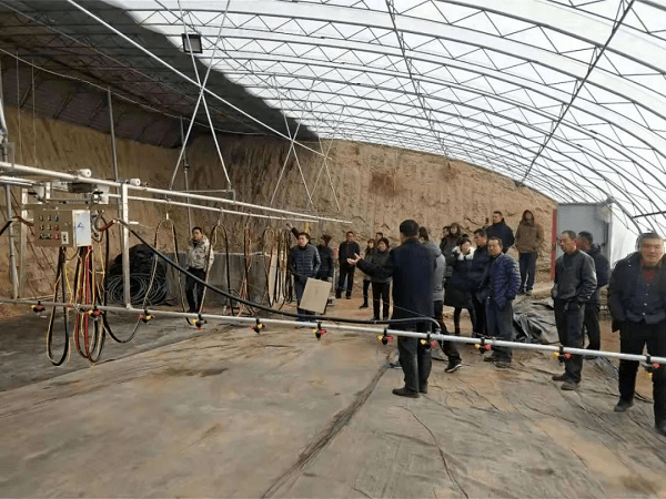 乐动体育 LD体育【农牧•旗县】九原区、东河区农牧业工作动态(图2) 乐动体育 LD体育【农牧•旗县】九原区、东河区农牧业工作动态(图2)