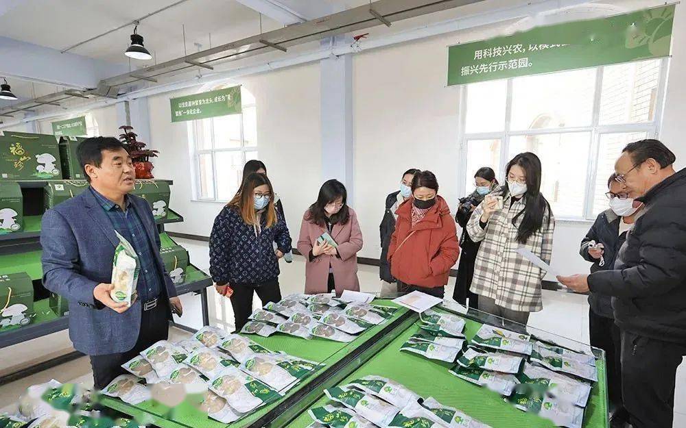 乐动体育乡村振兴张格庄实践：樱桃+蘑菇“链”起来(图3)