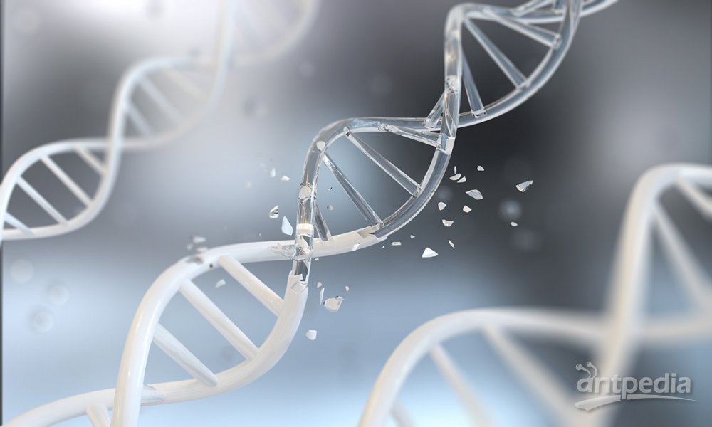 乐动体育机械与仪器仪表专业趋热 技能型人才最抢手（2）