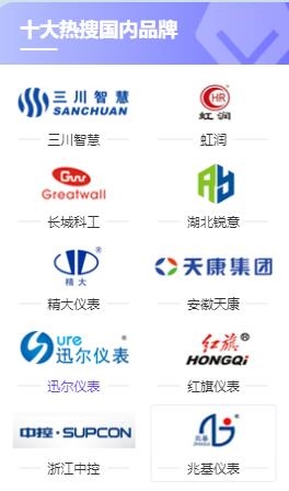 仪表网20乐动体育 LD体育21年度深受关注的十大国内仪表品