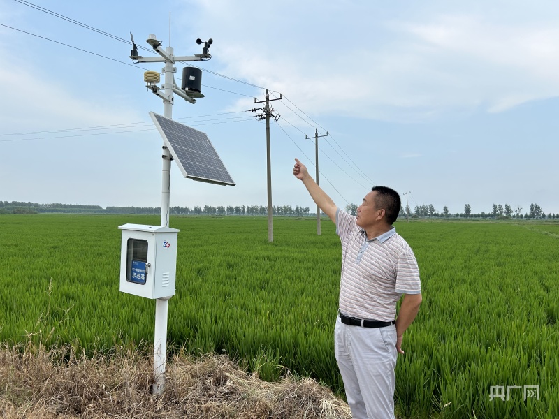 乡村振兴看安徽 怀远:科技进田 增产优产LD乐动体育有“底气”(图2) 乡村振兴看安徽 怀远:科技进田 增产优产LD乐动体育有“底气”(图2)