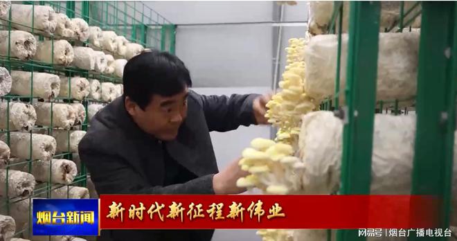 LD乐动 乐动体育福山区张格庄镇：“大樱桃+蘑菇” 产业“链