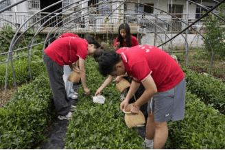 青春奋进新征程乡村振兴建新功信息科学与工程学院“赓续‘信’星火振兴新乡村”暑期“三下乡”社会实践服务队三下乡活动圆满结束乐动体育 LD体育(图18) 青春奋进新征程乡村振兴建新功信息科学与工程学院“赓续‘信’星火振兴新乡村”暑期“三下乡”社会实践服务队三下乡活动圆满结束乐动体育 LD体育(图18)