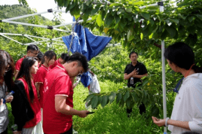 青春奋进新征程乡村振兴建新功信息科学与工程学院“赓续‘信’星火振兴新乡村”暑期“三下乡”社会实践服务队三下乡活动圆满结束乐动体育 LD体育(图16) 青春奋进新征程乡村振兴建新功信息科学与工程学院“赓续‘信’星火振兴新乡村”暑期“三下乡”社会实践服务队三下乡活动圆满结束乐动体育 LD体育(图16)