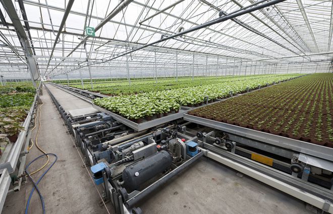 LD乐动体育一套智能化温室大棚到底要多少预算?看完你就明白了!(图2) LD乐动体育一套智能化温室大棚到底要多少预算?看完你就明白了!(图2)