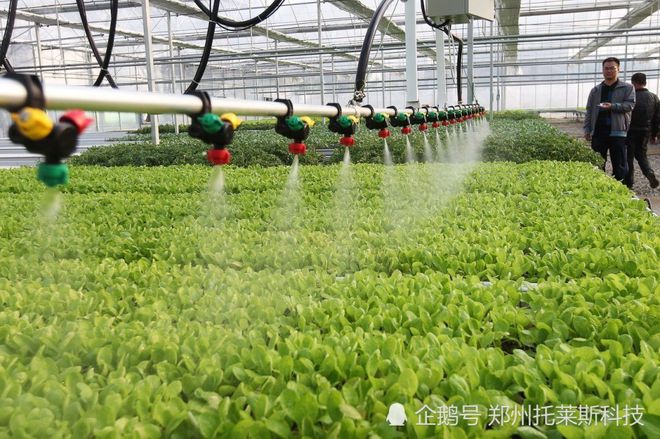 LD乐动体育一套智能化温室大棚到底要多少预算?看完你就明白了!(图3) LD乐动体育一套智能化温室大棚到底要多少预算?看完你就明白了!(图3)