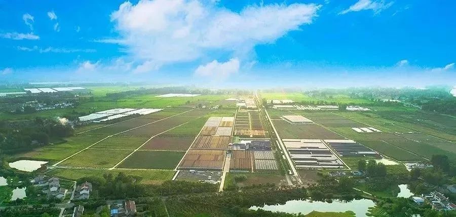 乐动体育 LD体育新华日报整版报道丨江苏永鸿：赋能乡村振兴 推进城乡融合发展(图2)