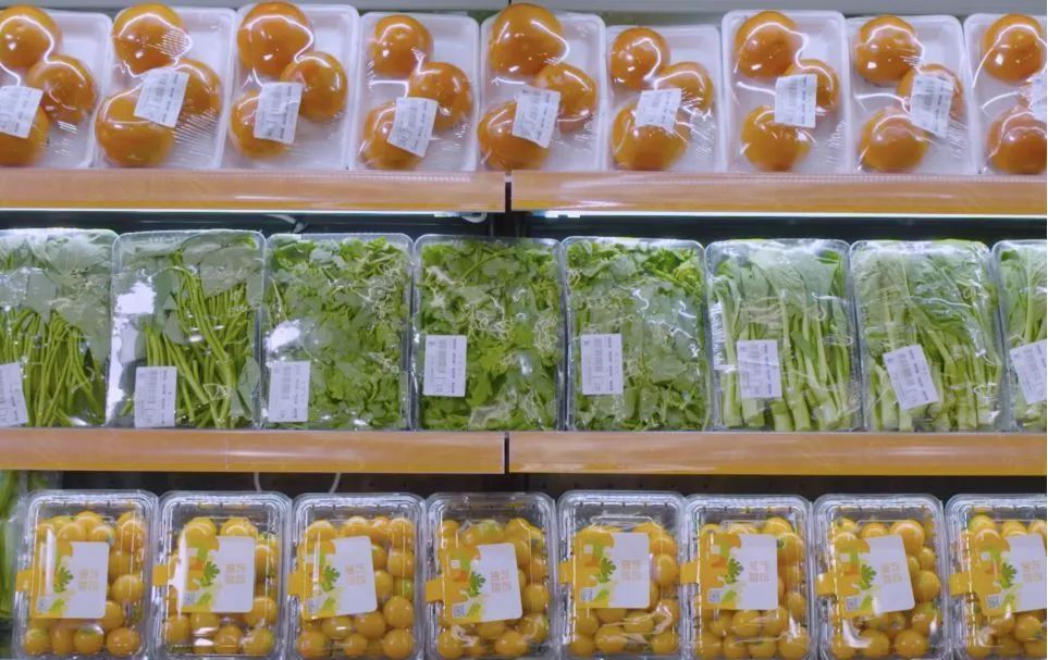 乐动体育 LD体育新华日报整版报道丨江苏永鸿：赋能乡村振兴 推进城乡融合发展(图3)