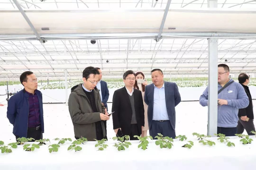 乐动体育 LD体育新华日报整版报道丨江苏永鸿：赋能乡村振兴 推进城乡融合发展(图4)