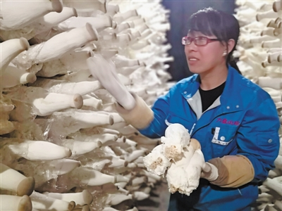 LD乐动 乐动体育科技创新添彩绿色家园(图2) LD乐动 乐动体育科技创新添彩绿色家园(图2)