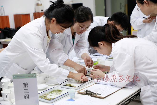 高级评茶员职业功能工作内容是什么?LD乐动 乐动体育(图5) 高级评茶员职业功能工作内容是什么?LD乐动 乐动体育(图5)