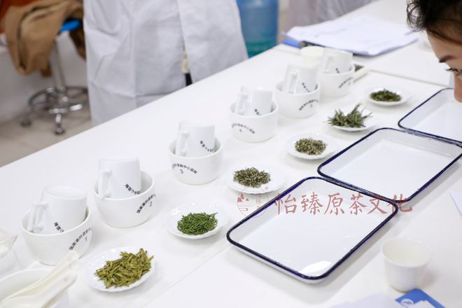 高级评茶员职业功能工作内容是什么?LD乐动 乐动体育(图2) 高级评茶员职业功能工作内容是什么?LD乐动 乐动体育(图2)