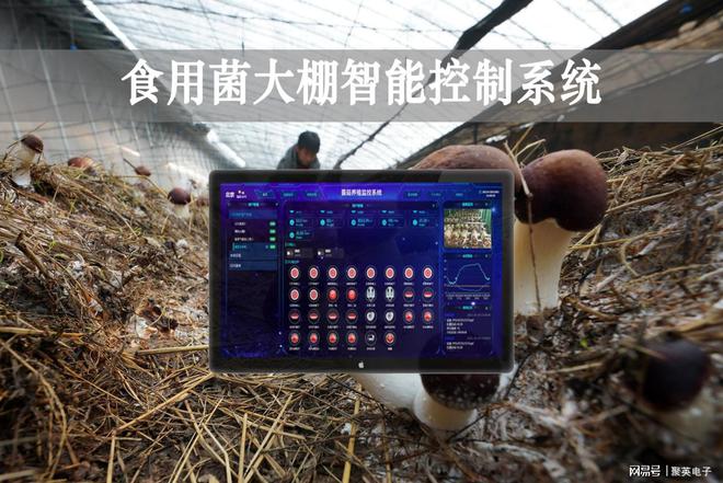 乐动体育食用菌大棚智能控制系统功能说明24小时全天候调节温湿
