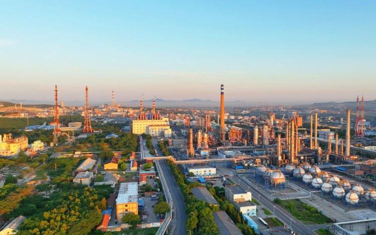 LD乐动体育360人齐鲁石化开启2024年校园招聘