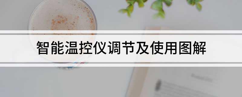 乐动体育 LD体育智能温控仪调节及使用图解