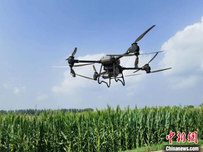 山东多地加快发展数字农LD乐动体育业 打造智慧农田新模式