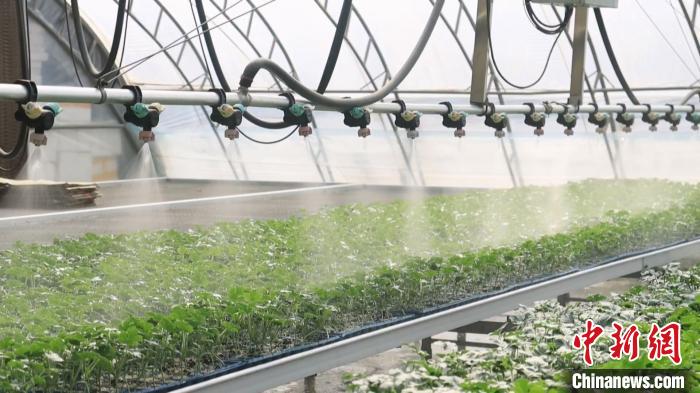 山东多地加快发展数字农LD乐动体育业 打造智慧农田新模式(图2) 山东多地加快发展数字农LD乐动体育业 打造智慧农田新模式(图2)