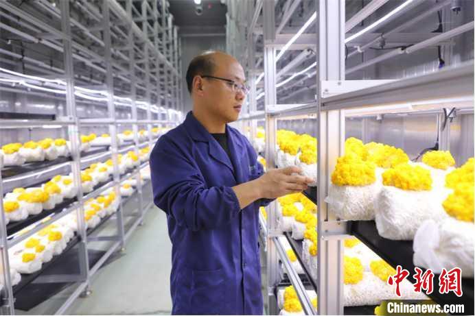 山东多地加快发展数字农LD乐动体育业 打造智慧农田新模式(图3) 山东多地加快发展数字农LD乐动体育业 打造智慧农田新模式(图3)