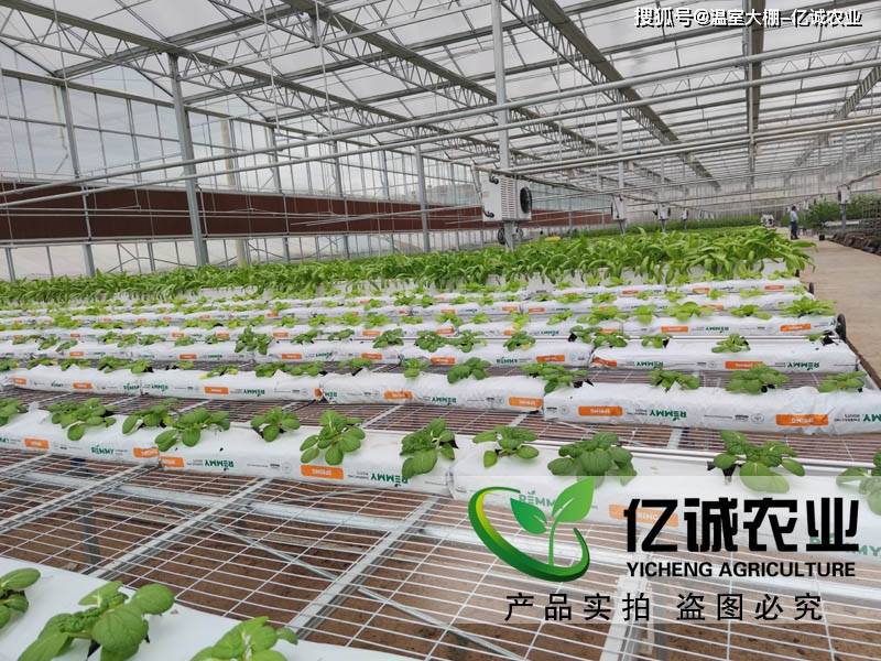 LD乐动体育智能温室建设报价要根据配置的确实来确定